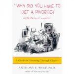 Why Did You Have to Get a Divorce? And When Can I Get a Hamster? : A Guide to Parenting
